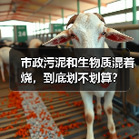 市政污泥和生物质混着烧，到底划不划算？（图4）