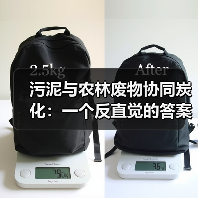 污泥与农林废物协同炭化：一个反直觉的答案？（图4）