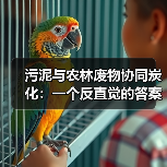 污泥与农林废物协同炭化：一个反直觉的答案？（图3）