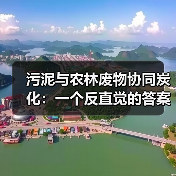 污泥与农林废物协同炭化：一个反直觉的答案？（图2）