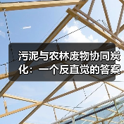 污泥与农林废物协同炭化：一个反直觉的答案？