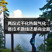 两段式干化热解气化：是技术路线还是商业故事？（图3）