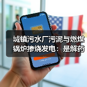 城镇污水厂污泥与燃煤锅炉掺烧发电：是解药还是鸡肋？（图2）