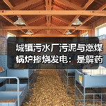 城镇污水厂污泥与燃煤锅炉掺烧发电：是解药还是鸡肋？