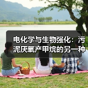电化学与生物强化：污泥厌氧产甲烷的另一种可能？