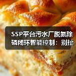 SSP平台污水厂脱氮除磷闭环智能控制：别扯算法了，先搞定数据清洗（图2）