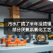 污水厂搞了半年没搞懂：部分厌氧氨氧化工艺同步脱氮除磷强效技术到底怎么调？（图3）