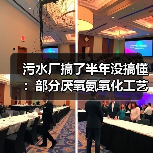 污水厂搞了半年没搞懂：部分厌氧氨氧化工艺同步脱氮除磷强效技术到底怎么调？（图4）