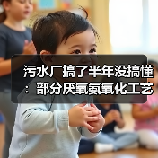 污水厂搞了半年没搞懂：部分厌氧氨氧化工艺同步脱氮除磷强效技术到底怎么调？