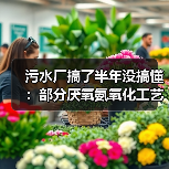 污水厂搞了半年没搞懂：部分厌氧氨氧化工艺同步脱氮除磷强效技术到底怎么调？（图2）