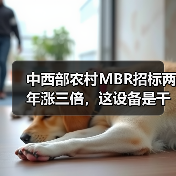 中西部农村MBR招标两年涨三倍，这设备是干什么用的（图2）