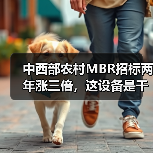 中西部农村MBR招标两年涨三倍，这设备是干什么用的
