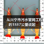 从兴宁市污水管网工程的1887公里说起（图4）