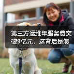 第三方运维年服务费突破9亿元，这背后是怎么一回事（图2）