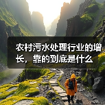 农村污水处理行业的增长，靠的到底是什么（图4）