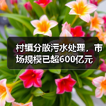 村镇分散污水处理，市场规模已超600亿元（图4）