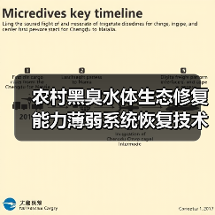 农村黑臭水体生态修复能力薄弱系统恢复技术（图2）