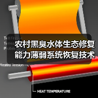 农村黑臭水体生态修复能力薄弱系统恢复技术