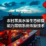 农村黑臭水体生态修复能力薄弱系统恢复技术（图3）