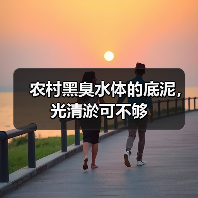 农村黑臭水体的底泥，光清淤可不够（图3）