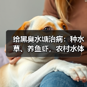 给黑臭水塘治病：种水草、养鱼虾，农村水体怎么重新变清（图2）