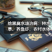 给黑臭水塘治病：种水草、养鱼虾，农村水体怎么重新变清（图3）