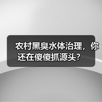 农村黑臭水体治理，你还在傻傻抓源头？（图4）