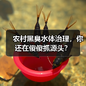 农村黑臭水体治理，你还在傻傻抓源头？（图3）