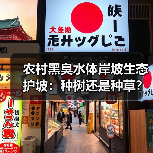 农村黑臭水体岸坡生态护坡：种树还是种草？我选混着来