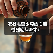 农村黑臭水沟的治理，钱到底从哪来？（图3）