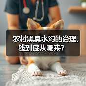 农村黑臭水沟的治理，钱到底从哪来？（图4）
