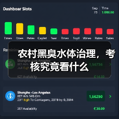 农村黑臭水体治理，考核究竟看什么（图3）
