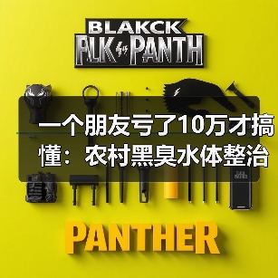 一个朋友亏了10万才搞懂：农村黑臭水体整治水质纳入乡村振兴战略实绩考核（图2）