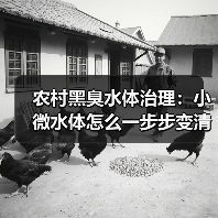 农村黑臭水体治理：小微水体怎么一步步变清的（图3）