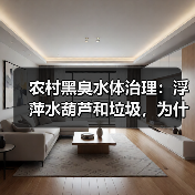 农村黑臭水体治理：浮萍水葫芦和垃圾，为什么打捞是关键？（图2）