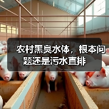 农村黑臭水体，根本问题还是污水直排（图2）