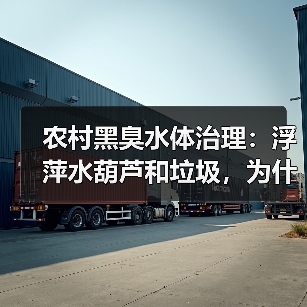 农村黑臭水体治理：浮萍水葫芦和垃圾，为什么打捞是关键？（图4）