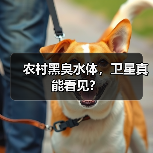 农村黑臭水体，卫星真能看见？（图2）