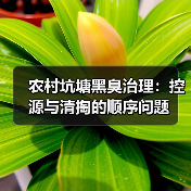农村坑塘黑臭治理：控源与清掏的顺序问题（图2）