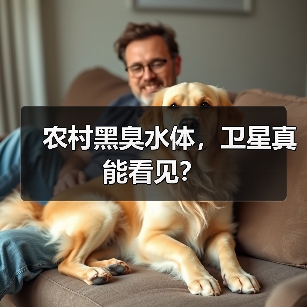 农村黑臭水体，卫星真能看见？（图3）