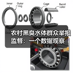 农村黑臭水体群众举报监督：一个数据观察（图4）
