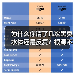 为什么你清了几次黑臭水体还是反复？根源不在水里在岸上