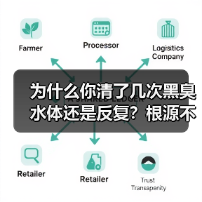 为什么你清了几次黑臭水体还是反复？根源不在水里在岸上（图3）