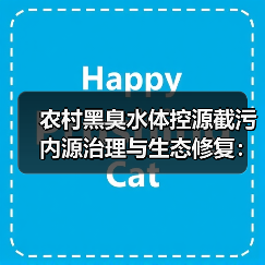 农村黑臭水体控源截污内源治理与生态修复：别拿技术忽悠人（图2）