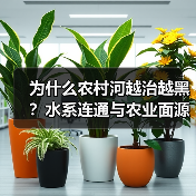 为什么农村河越治越黑？水系连通与农业面源控制才是破局关键（图2）