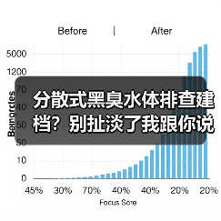 分散式黑臭水体排查建档？别扯淡了我跟你说真话