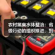 农村黑臭水体整治：省级行动的组织推进，到底卡在哪里（图2）