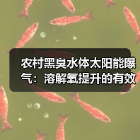 农村黑臭水体太阳能曝气：溶解氧提升的有效路径？（图2）