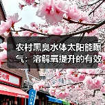 农村黑臭水体太阳能曝气：溶解氧提升的有效路径？（图3）