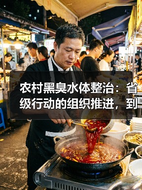 农村黑臭水体整治：省级行动的组织推进，到底卡在哪里（图4）